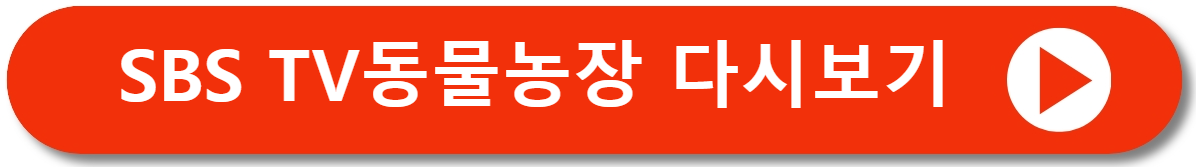 다시보기