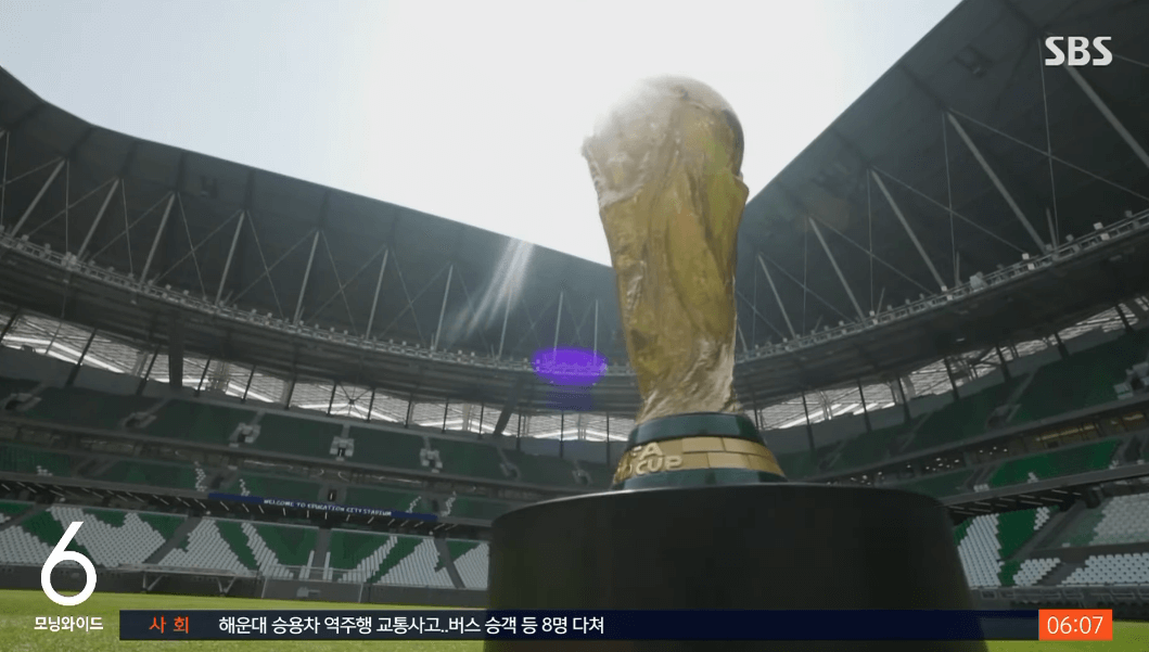 FIFA 월드컵