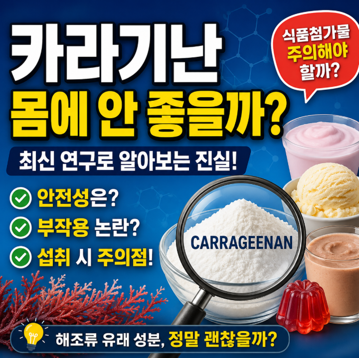 카라기난 위험성 진짜일까? 식품첨가물 논란 총정리