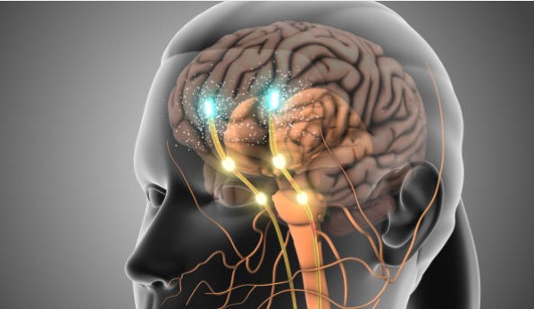 도파민 과잉 증상과 해소법 (불안, 중독, 브레인헬스)