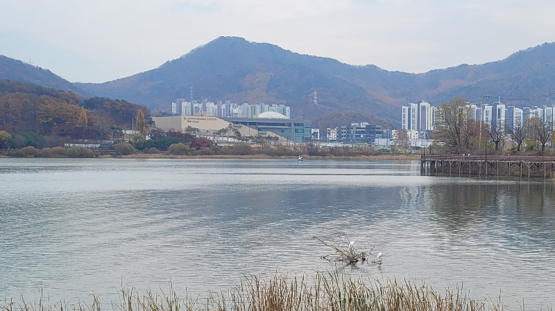 백운호수 주변 풍경 -산책 데이트 코스