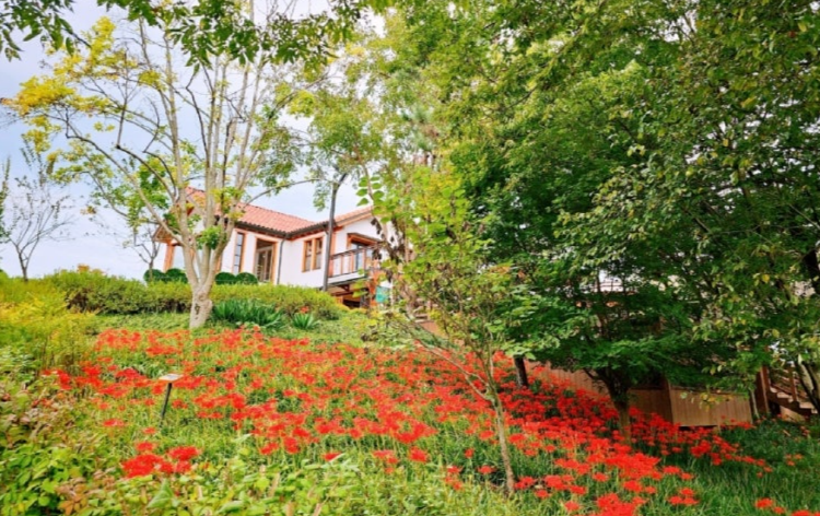 옥정호 출렁다리