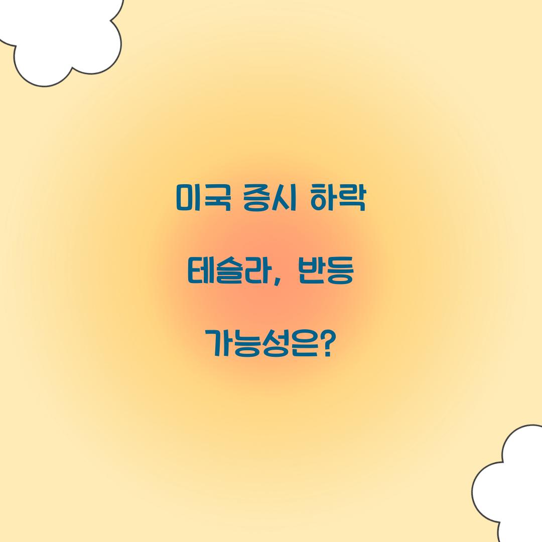 미국 증시 하락 테슬라