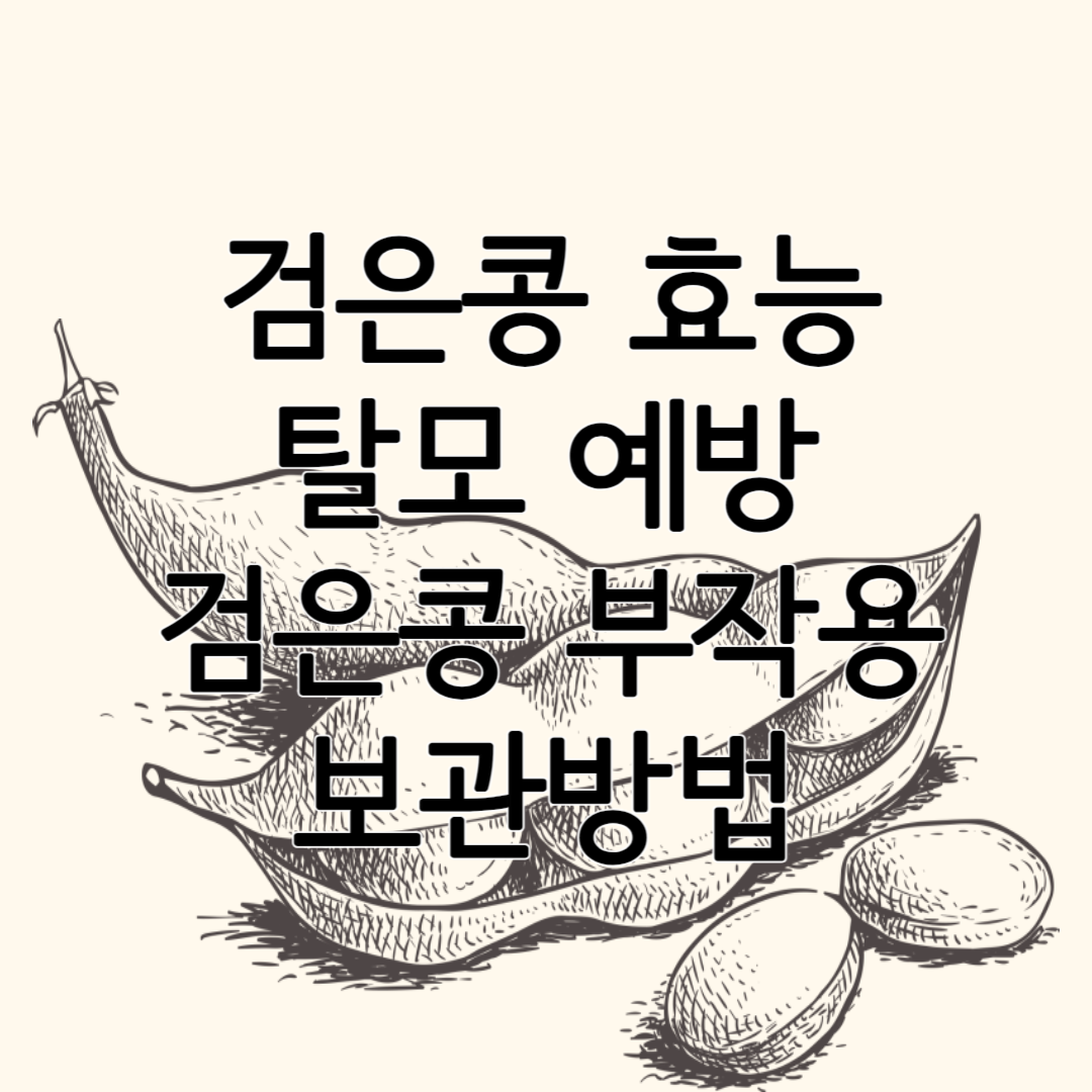 검은콩 효능 탈모 예방 검은콩 부작용 올바른 보관법