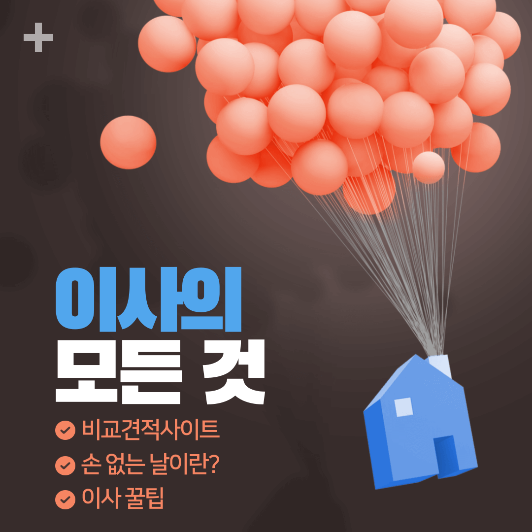 2024 이사의 모든 것