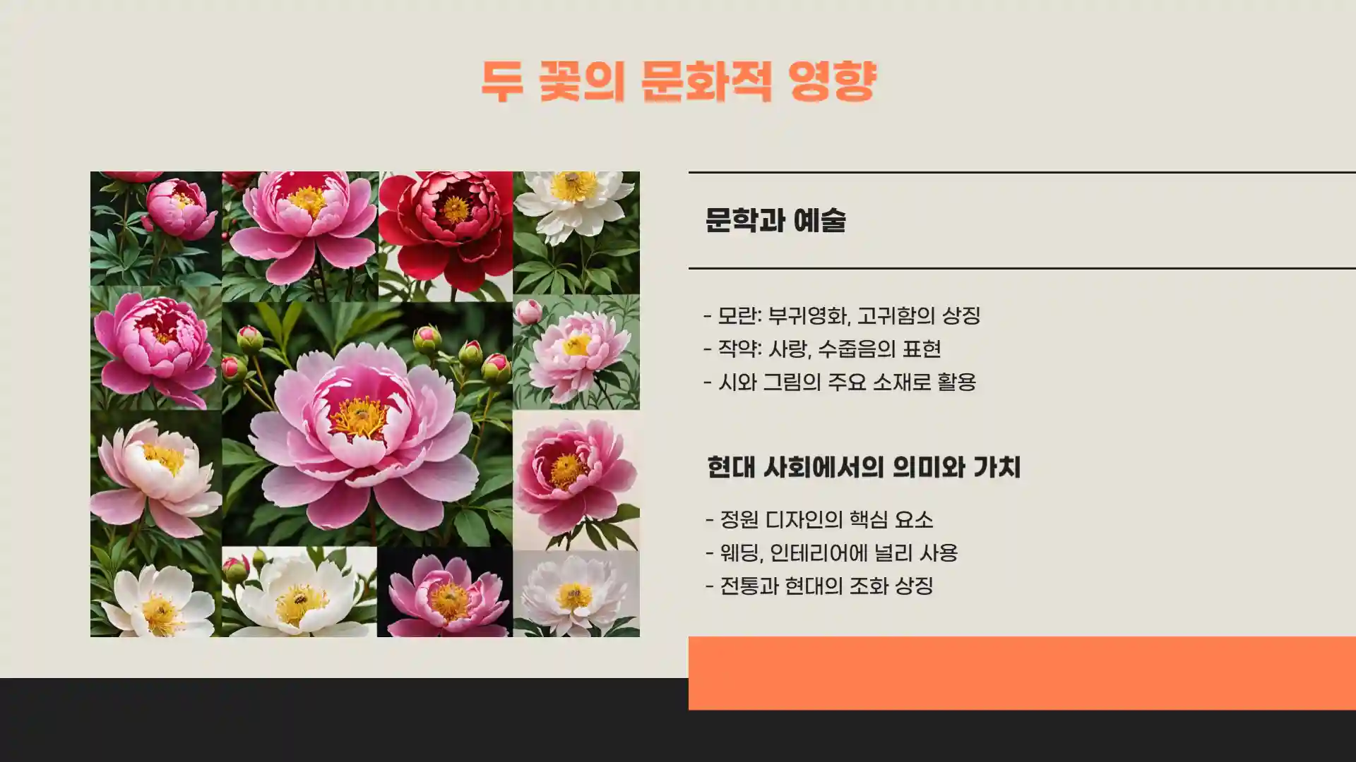 모란꽃과 작약꽃