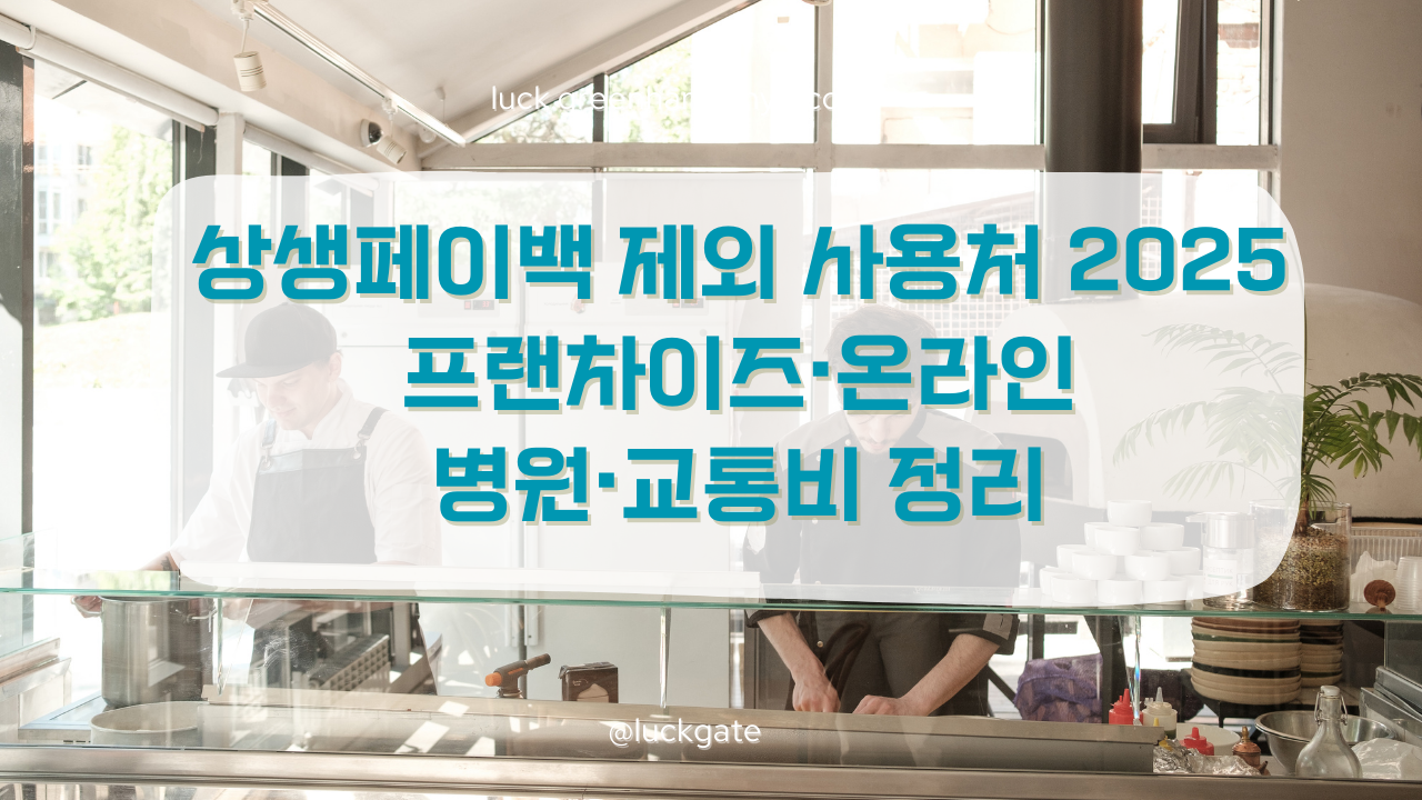 상생페이백 제외 사용처 2025