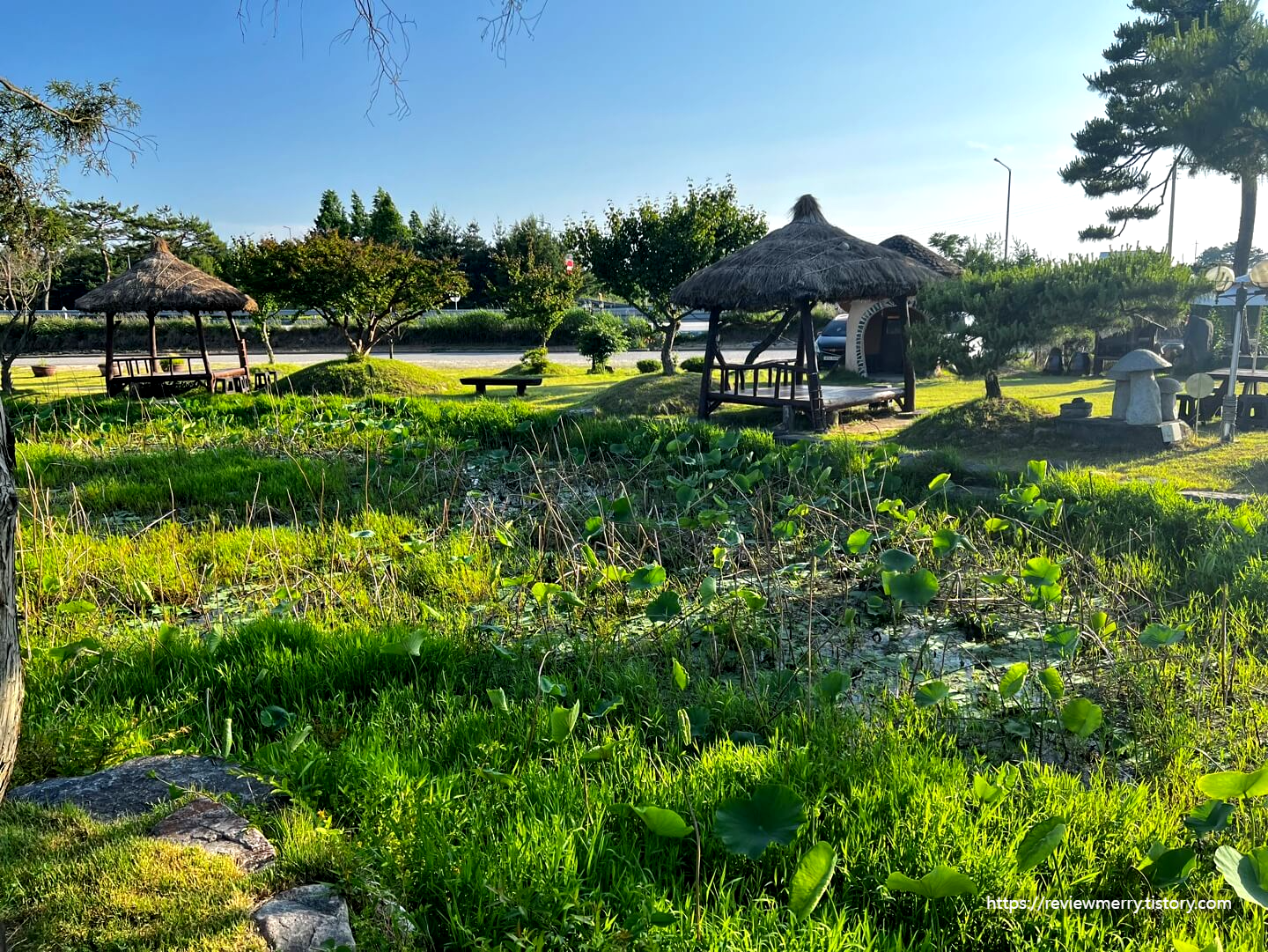 가게 앞 연잎저수지 사진