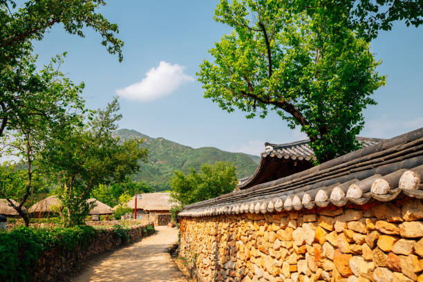 전남 여름 시골마을 돔담길