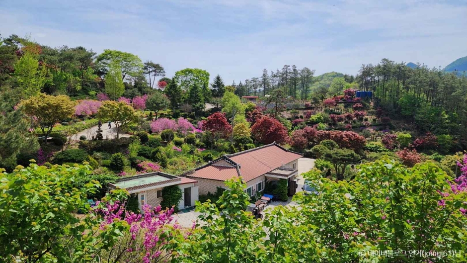 진안 꽃잔디동산