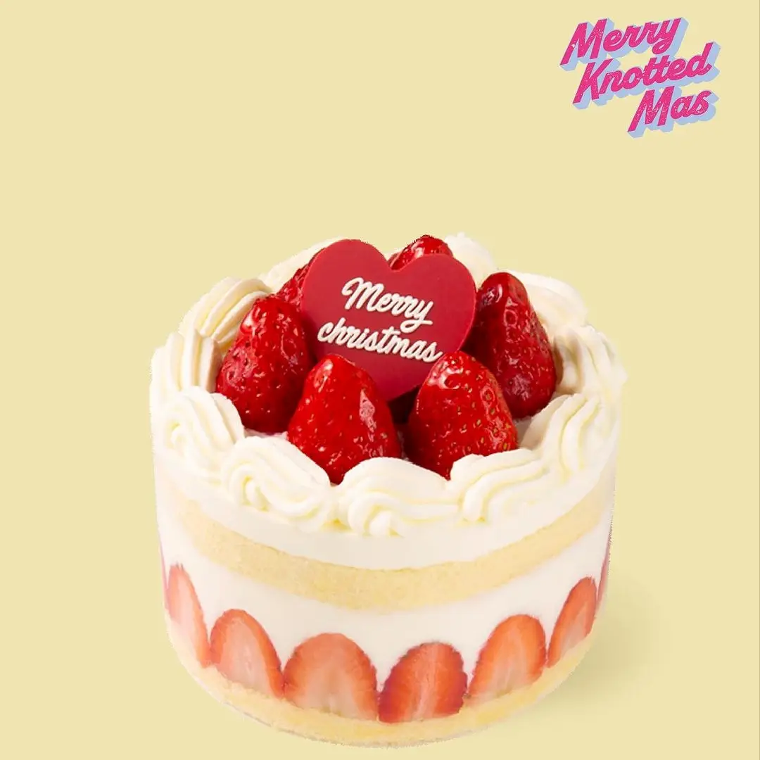 노티드 크리스마스 케이크 예약