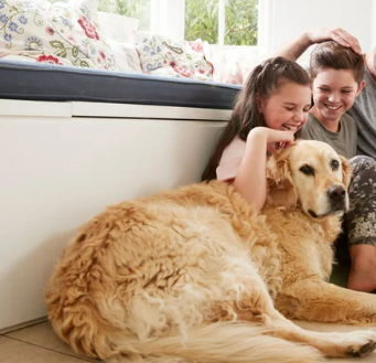 강아지 사람 좋아하는 이유&amp;#44; 유전자 변형 때문이라고?!