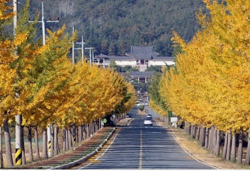 가을에 꼭 가봐야할 경주여행 BEST 5