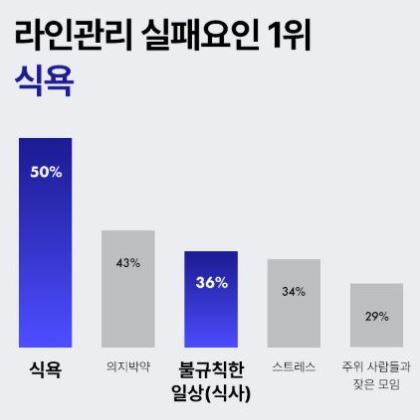듀오렉신-나비정-효과