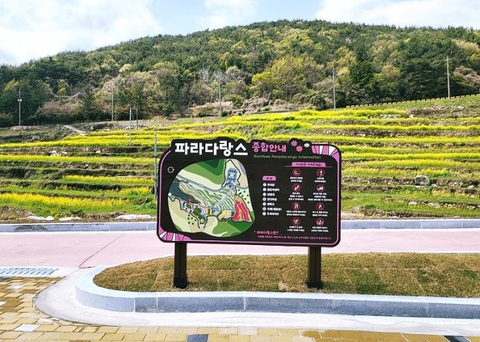 강릉 안반데기 유채꽃밭 &ndash; 고원 위 황금 물결