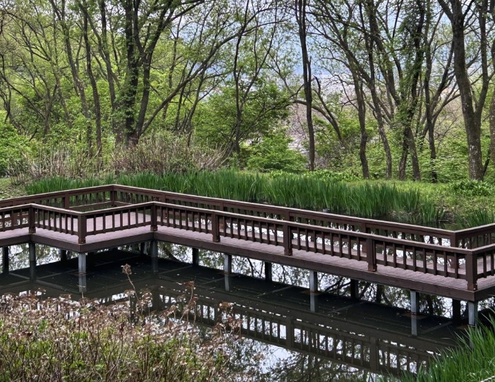 용인자연휴양림예약하기