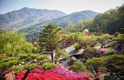 2024 화담숲 모노레일 예약방법 가을 단풍