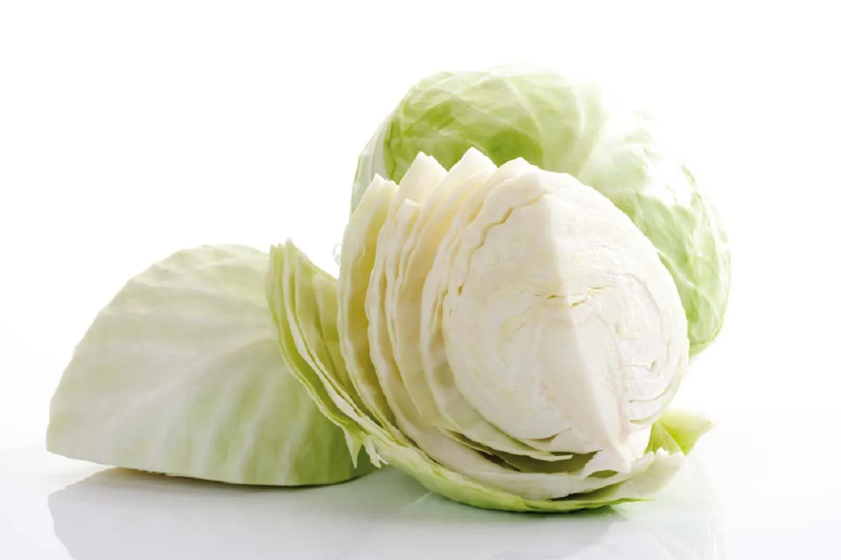 속쓰림-비상!-불닭볶음면-매운-음식-먹은-후-배-아플-때-응급처치-방법-및-속쓰림-해결법 