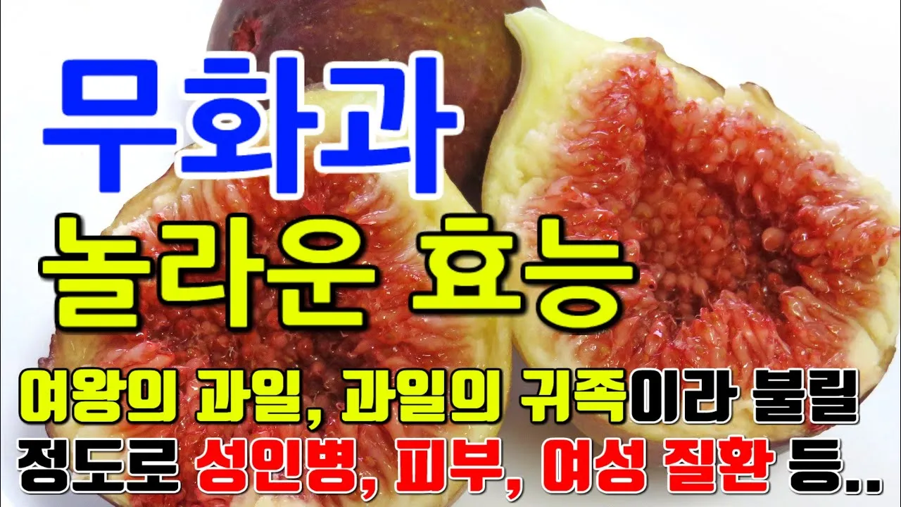 무화과 효능 칼로리 먹는 방법 수확시기 보관법_4