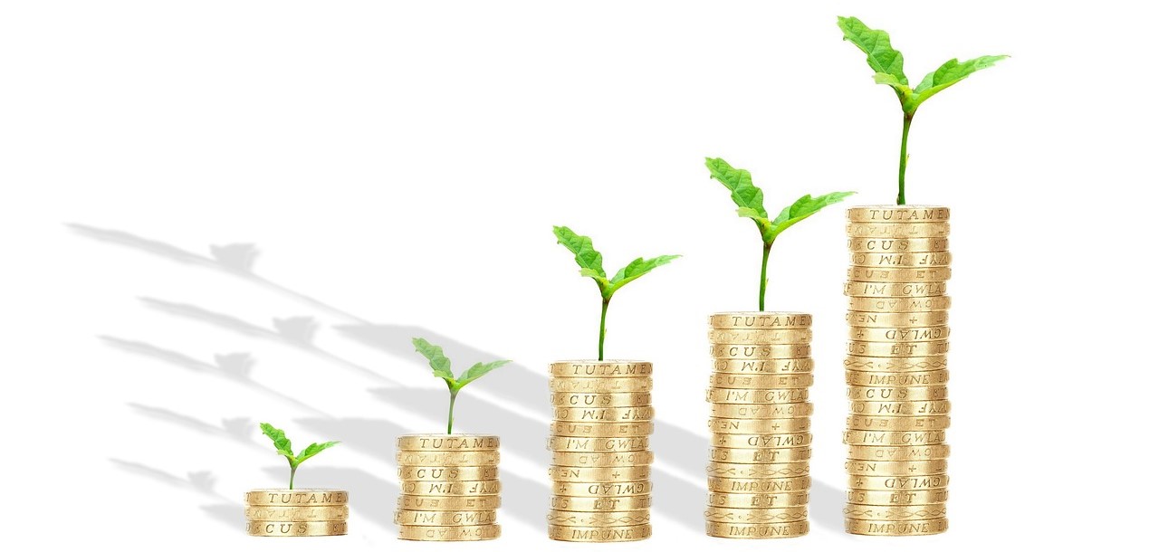 주식 수익관련 사진