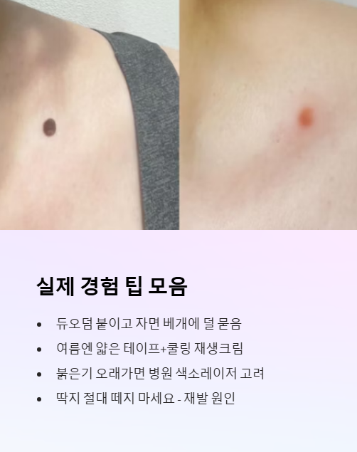 실제 경험 팁 모음