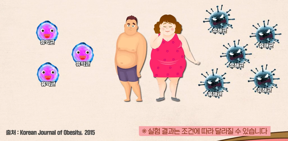 bnr17유산균 효능