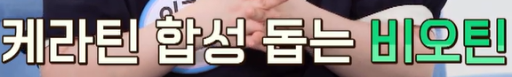 비오틴 효능