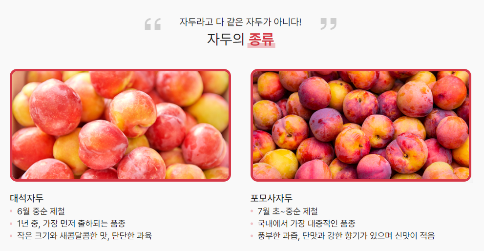 7월전국지역축제