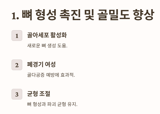 뼈 형성 촉진 및 골밀도 향상