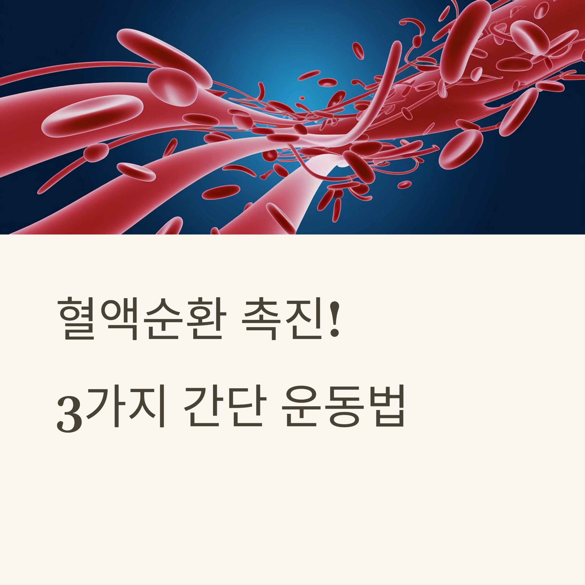 혈액순환을 촉진시키는 데 효과적인 운동법 알아보기