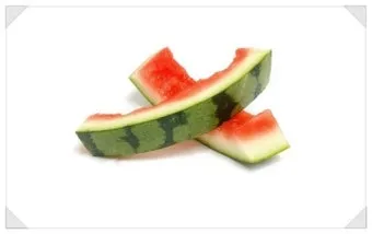 수박껍질 음식물쓰레기 헷갈리는 분들을 위한 정확한 정리_6