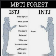 ISTJ 특징 유형 분석