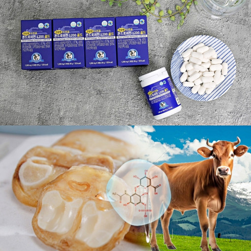 건강엔 소연골 콘드로이친 1200