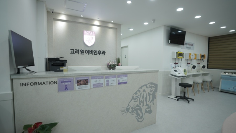 강서구 방화3동 이비인후과 귀지제거 감기 목 수액 독감 귀 진료 유명하고 잘하는 곳