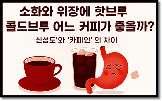 소화와 위장에 핫브루 커피와 콜드브루(더치) 커피 어느 것이 나을까? 핫브루 콜드브루 추출 방식이 만드는 '산성도'와 '카페인'의 차이