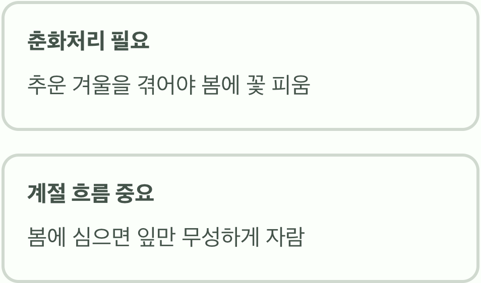 왜 '가을'에 심어야 할까? (춘화처리)