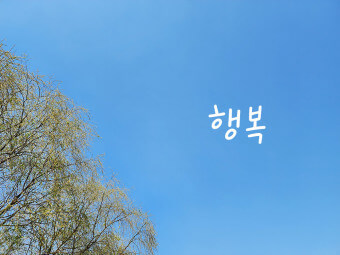 정유정 완전한 행복