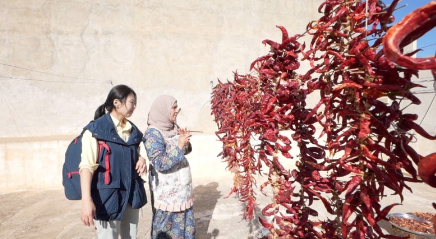 세계테마기행 튀니지 편 정리! 방송 속 명소 & 추가 정보