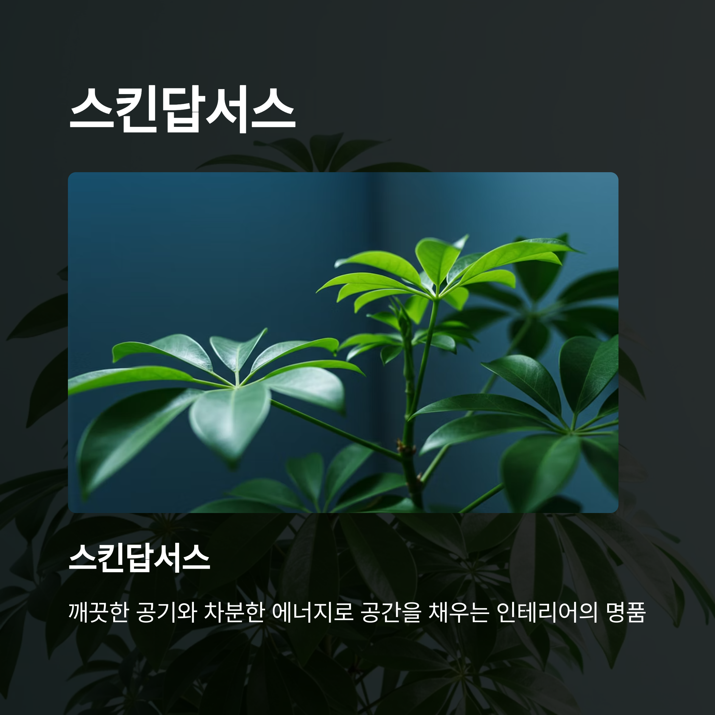 스킨답서스 &ndash; 공간을 감싸는 생명력