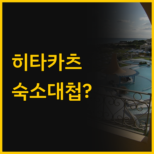 히타카츠 여행, 대마도 호텔과 토요코..