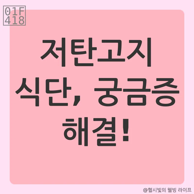 저탄고지 식단_4