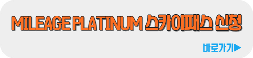 공항 라운지 무료 카드