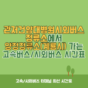 관저건양대병원시외버스정류소에서 양정정류소(계룡시) 가는 시외버스 시간표 최신정보