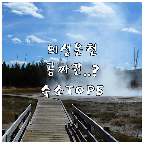 의성 탑산약수온천 사우나 무료 이용권..