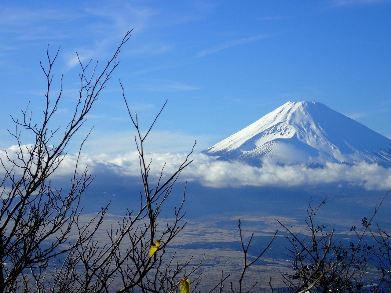 Fuji mountain