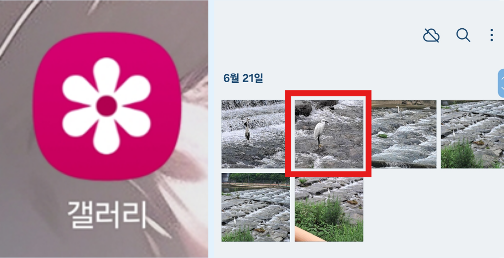 1. 갤러리 앱에서 사진 선택