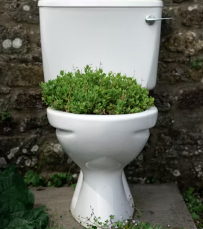 요실금 증상 원인 치료방법