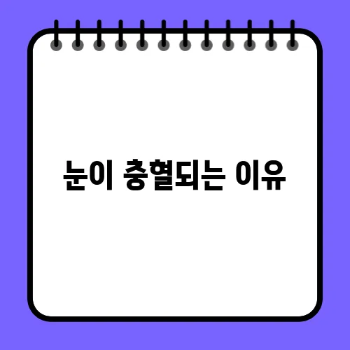 눈이 충혈되는 이유