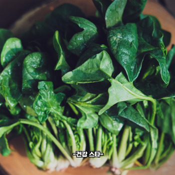 비타민b2 많은 음식