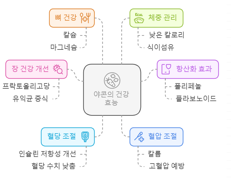 야콘 효능